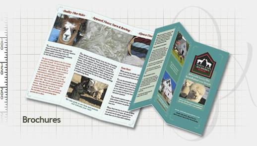 Brochure Design